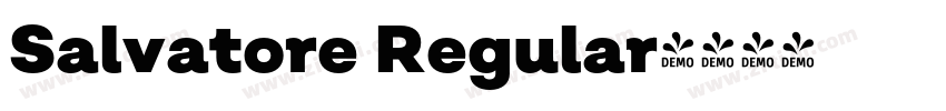 Salvatore Regular字体转换